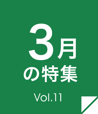 Vol.11